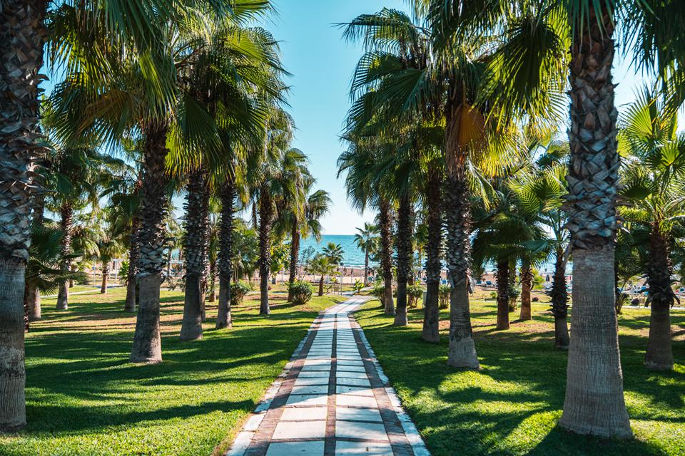 weg naar strand
